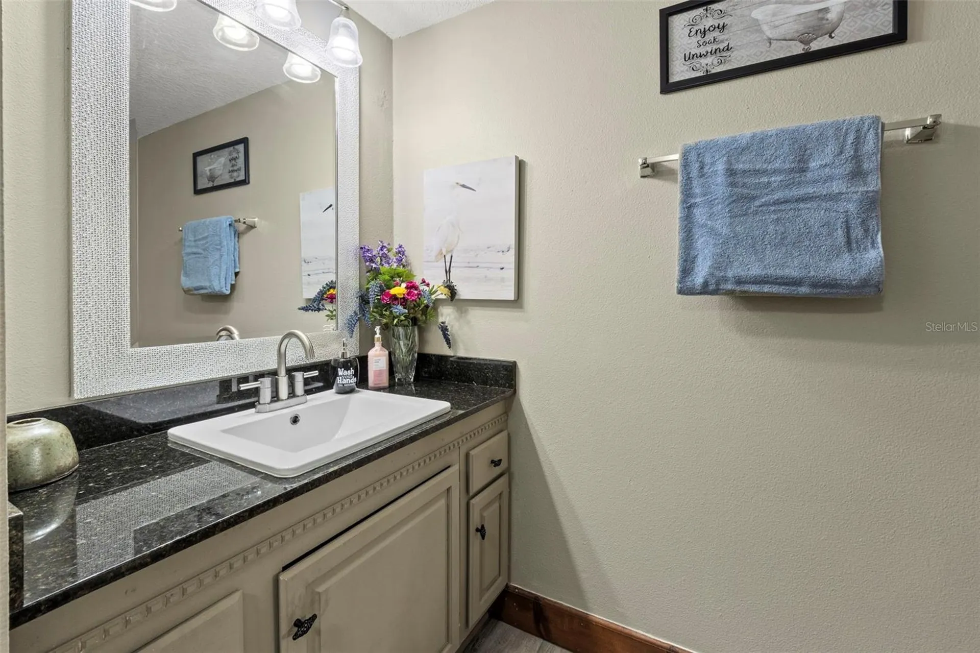 32137 Wolf Branch Lane Sorrento FL 32776