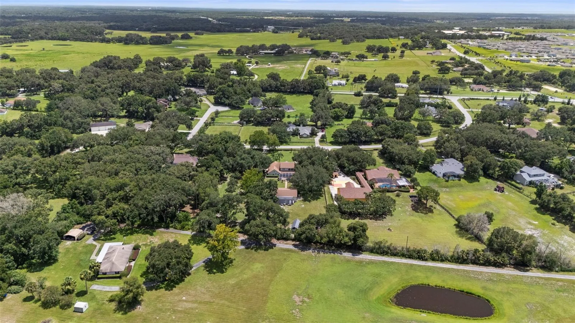 32137 Wolf Branch Lane Sorrento FL 32776