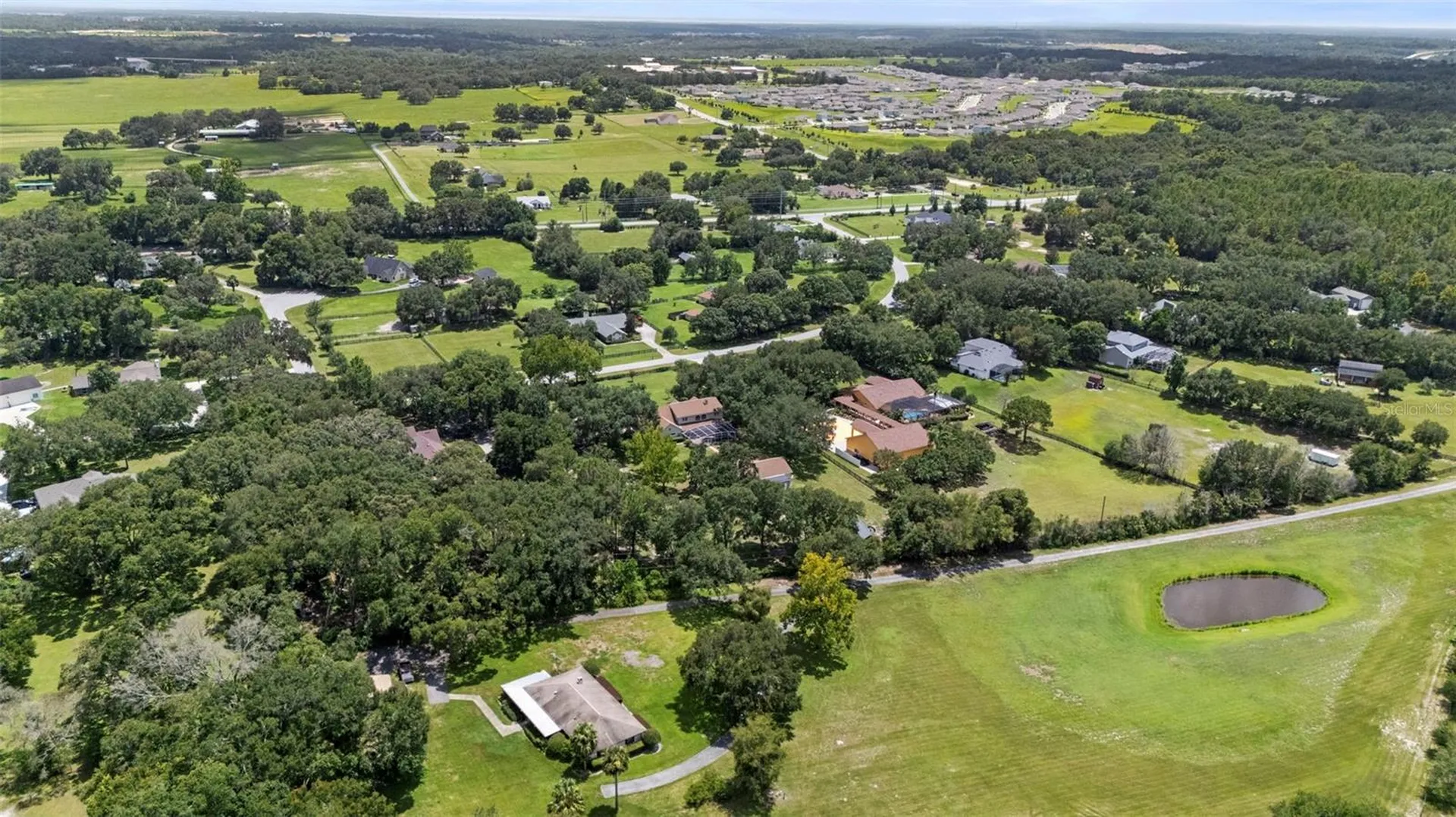 32137 Wolf Branch Lane Sorrento FL 32776