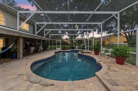 32137 Wolf Branch Lane Sorrento FL 32776