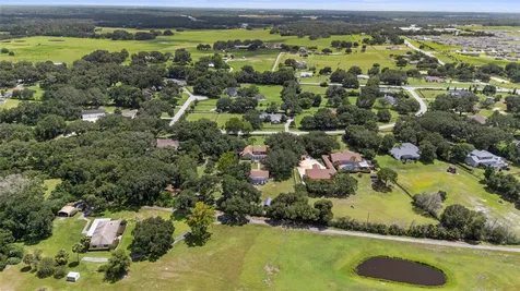 32137 Wolf Branch Lane Sorrento FL 32776