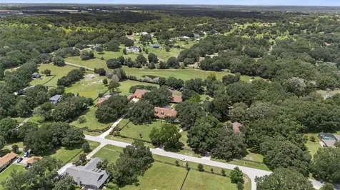 32137 Wolf Branch Lane Sorrento FL 32776