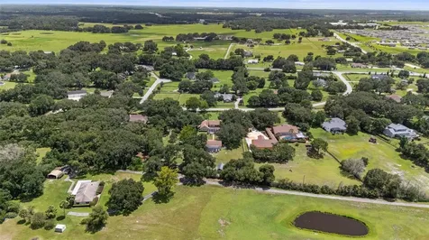 32137 Wolf Branch Lane Sorrento FL 32776