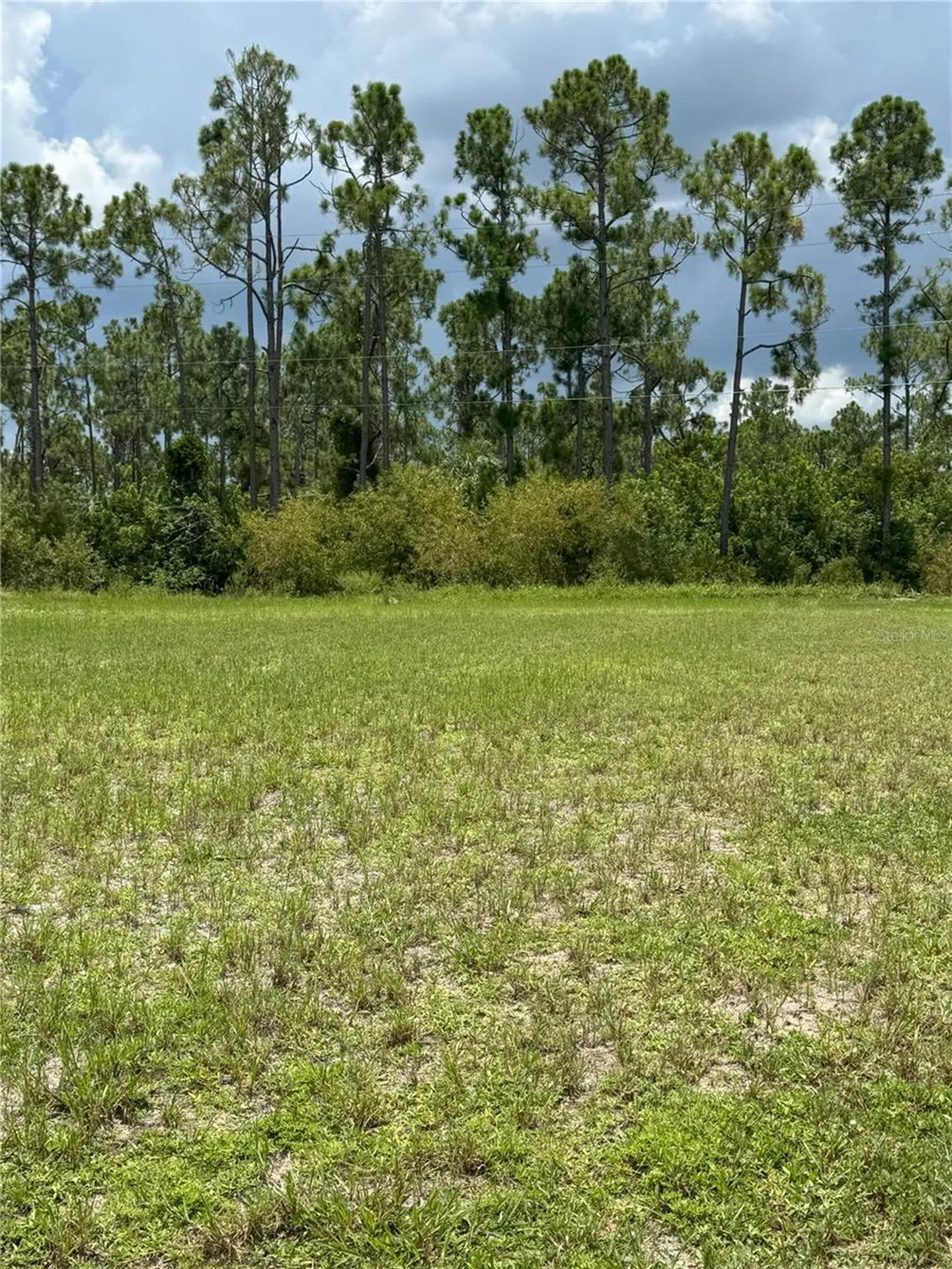 25573 Prada Drive Punta Gorda FL 33955