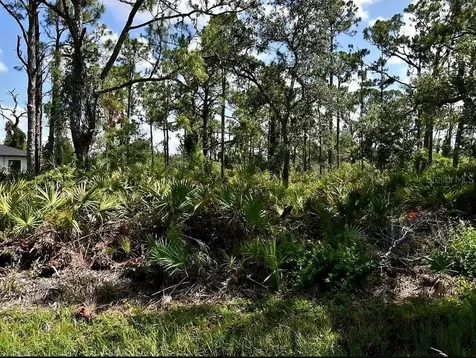 Vespucius Street North Port FL 34287