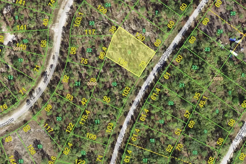 12225 Ripple Drive Punta Gorda FL 33955