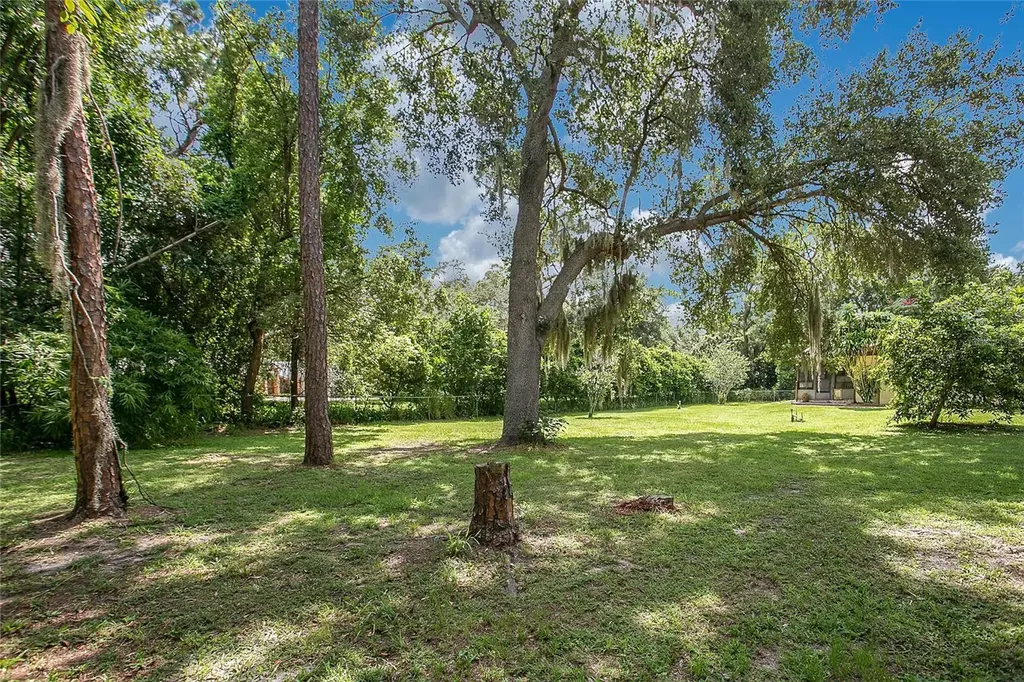 3629 Lake Buynak Road Windermere FL 34786