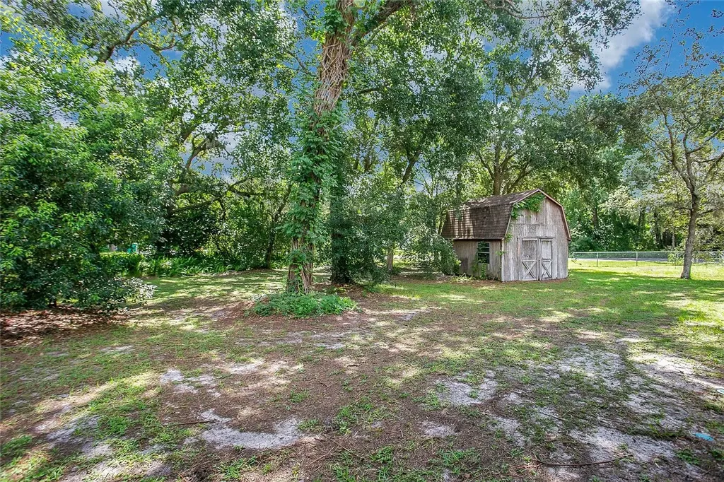 3629 Lake Buynak Road Windermere FL 34786