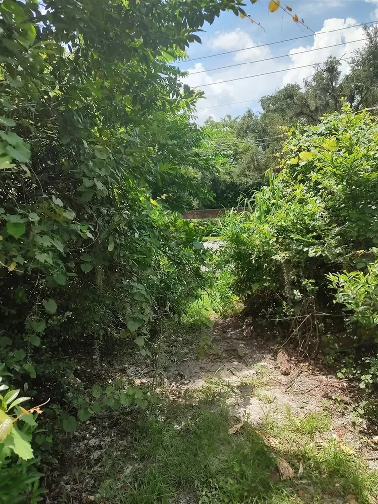 3629 Lake Buynak Road Windermere FL 34786