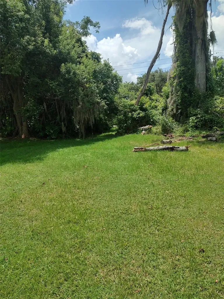 3629 Lake Buynak Road Windermere FL 34786