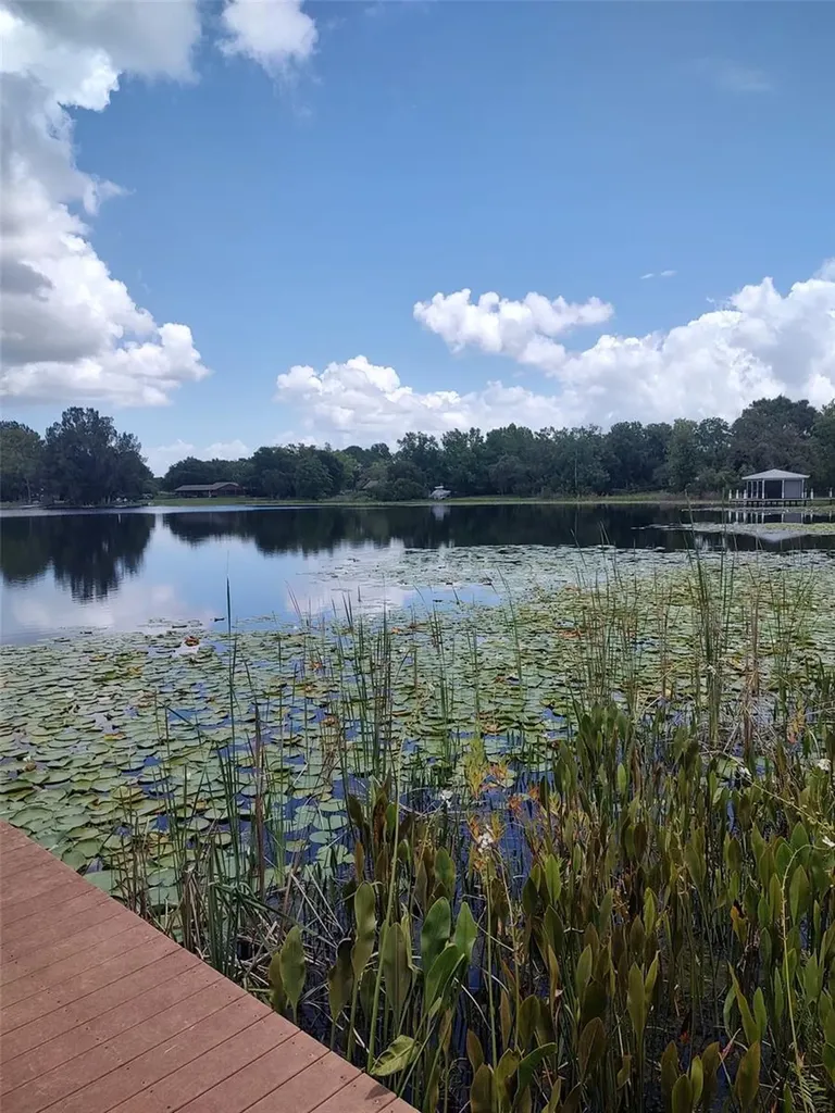 3629 Lake Buynak Road Windermere FL 34786