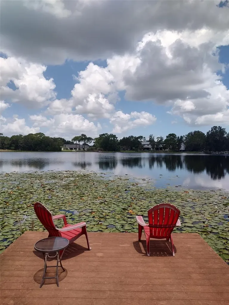 3629 Lake Buynak Road Windermere FL 34786