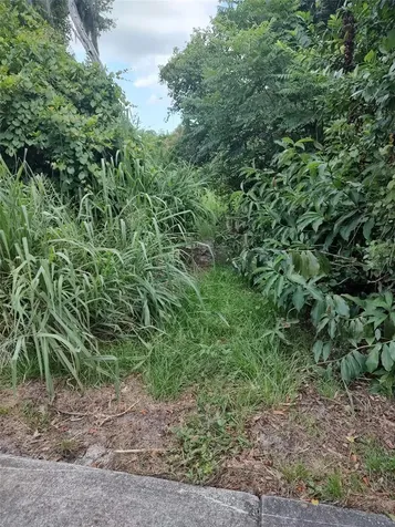 3629 Lake Buynak Road Windermere FL 34786