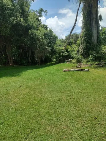 3629 Lake Buynak Road Windermere FL 34786