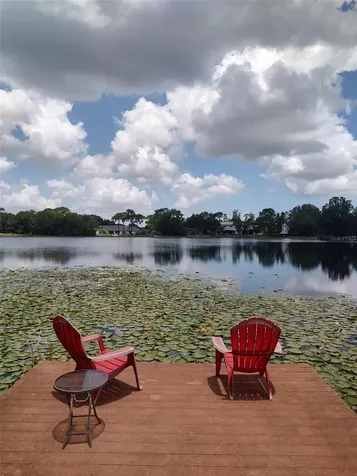 3629 Lake Buynak Road Windermere FL 34786