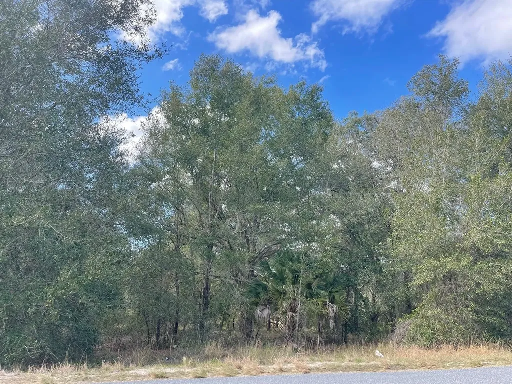 Grays Airport Road Lady Lake FL 32159