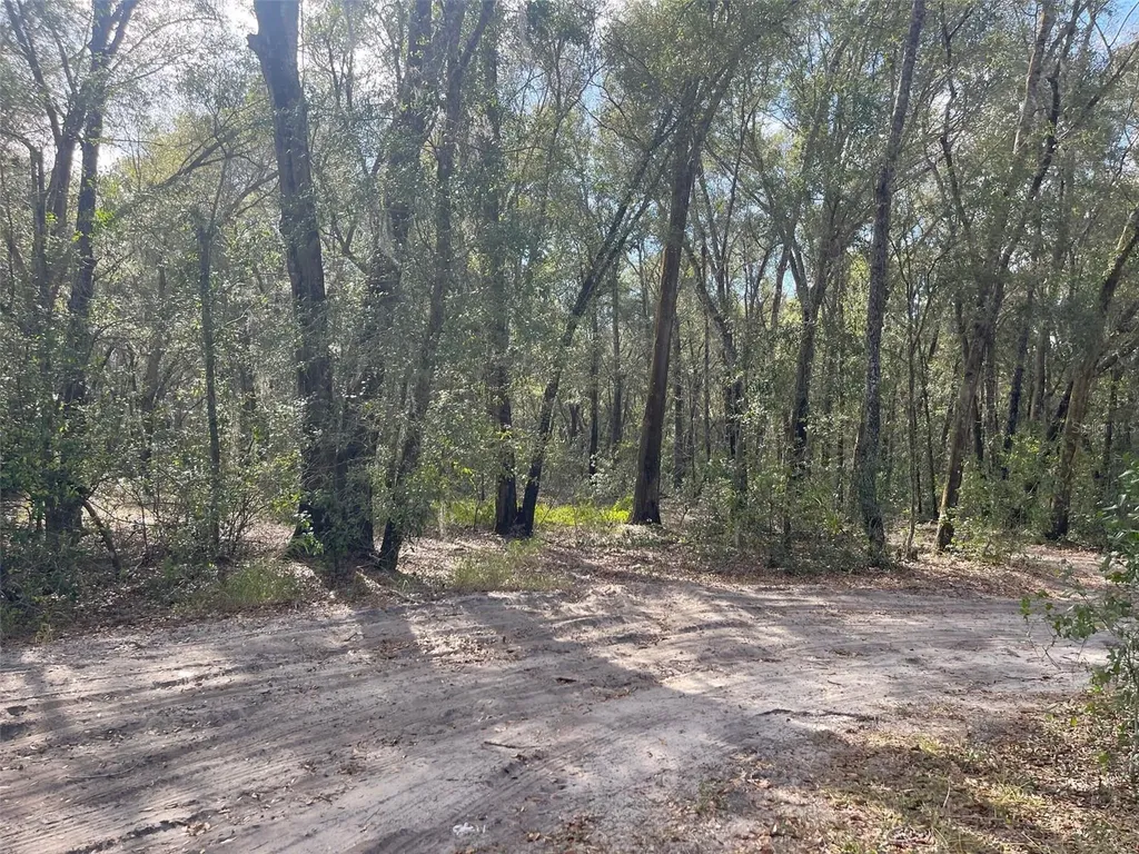 Grays Airport Road Lady Lake FL 32159