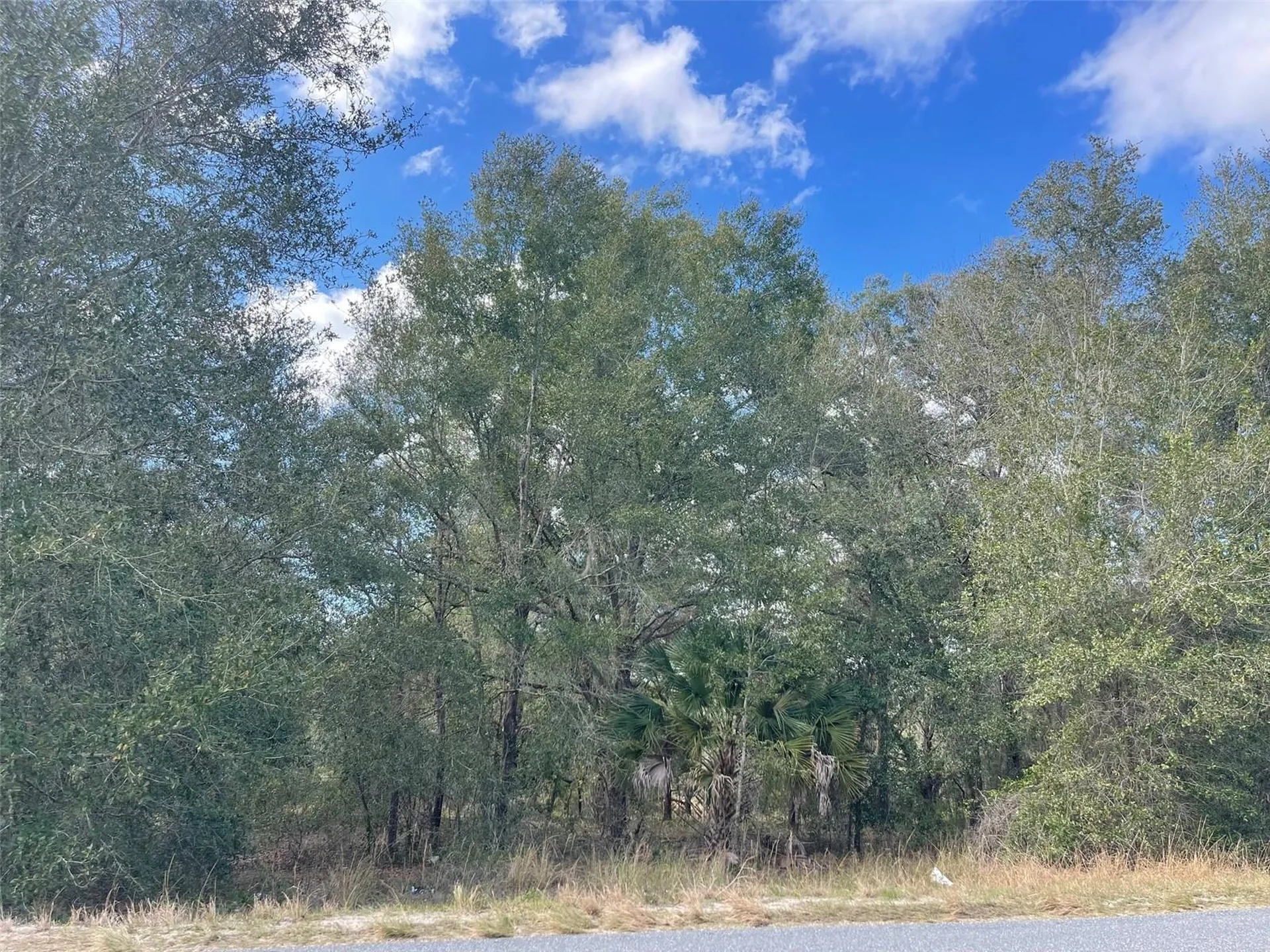 Grays Airport Road Lady Lake FL 32159
