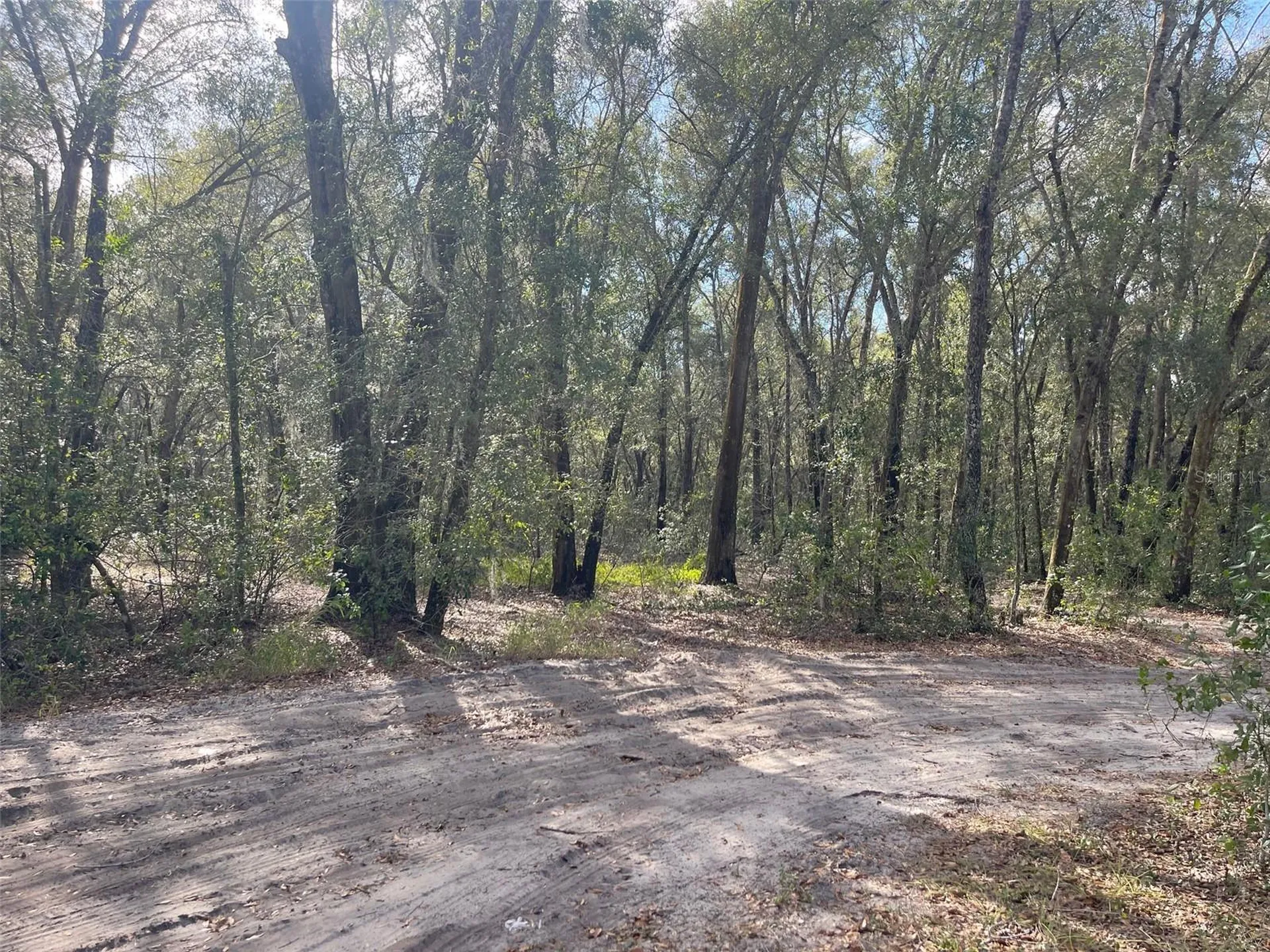 Grays Airport Road Lady Lake FL 32159