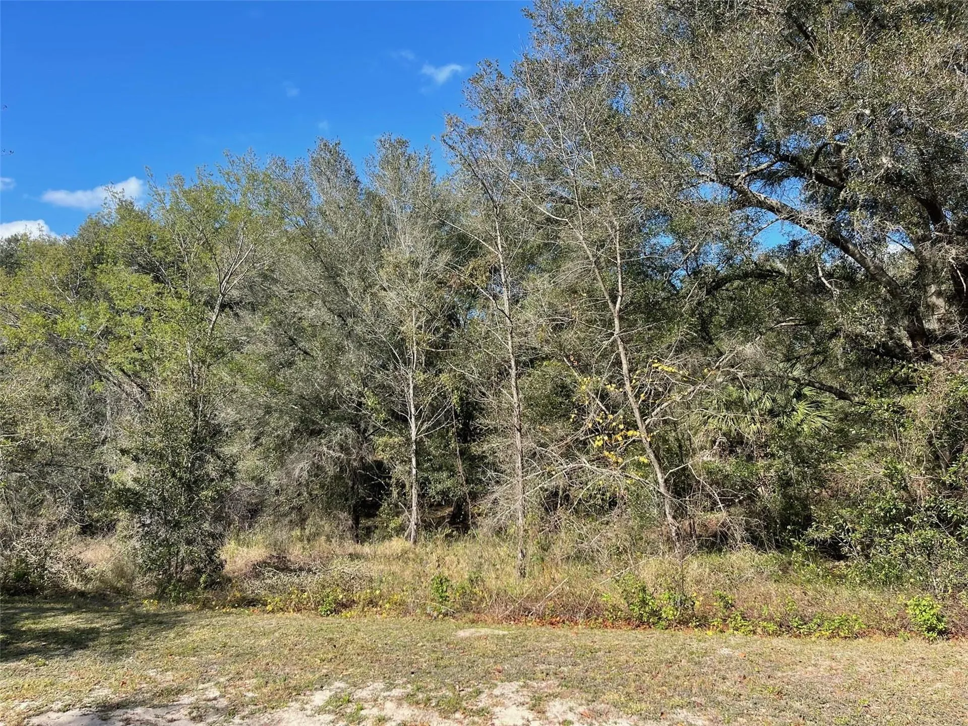 Grays Airport Road Lady Lake FL 32159