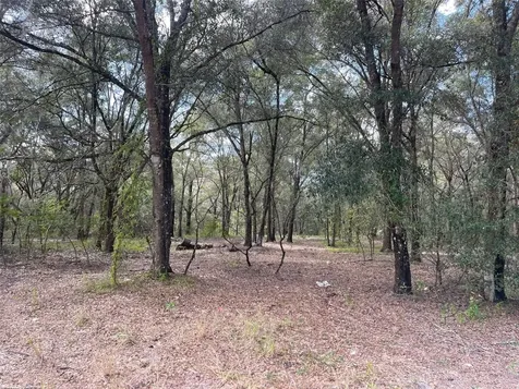 Grays Airport Road Lady Lake FL 32159