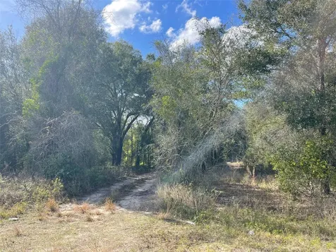 Grays Airport Road Lady Lake FL 32159