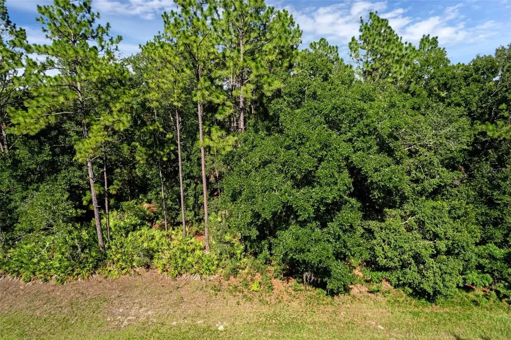 6733 N Nantucket Way Dunnellon FL 34434
