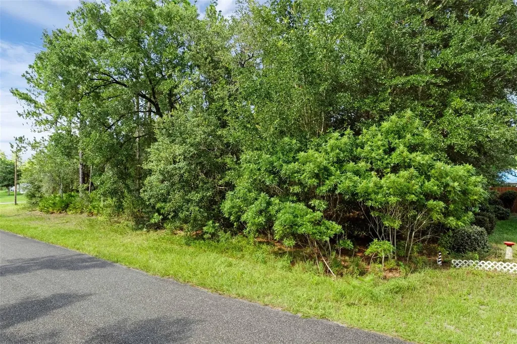 6733 N Nantucket Way Dunnellon FL 34434