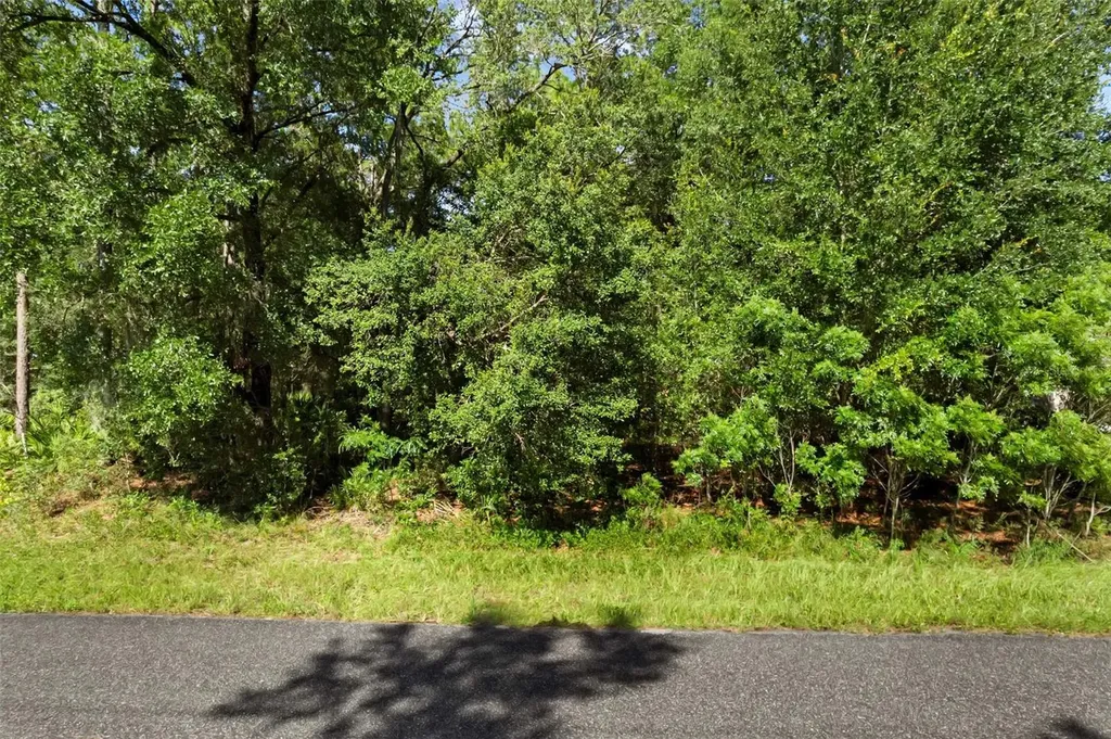 6733 N Nantucket Way Dunnellon FL 34434