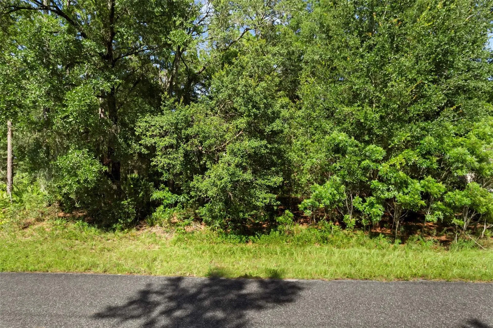 6733 N Nantucket Way Dunnellon FL 34434