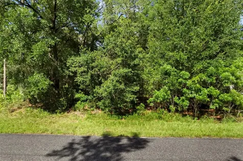 6733 N Nantucket Way Dunnellon FL 34434