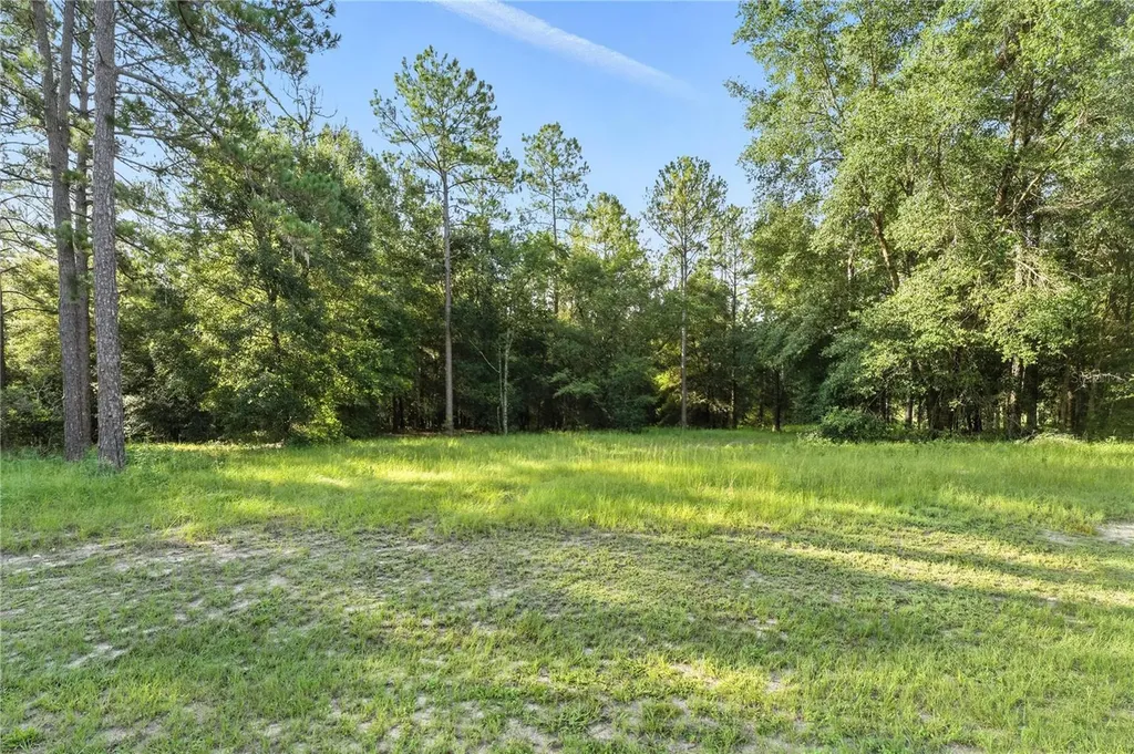 24148 Deep Springs Loop Eustis FL 32736
