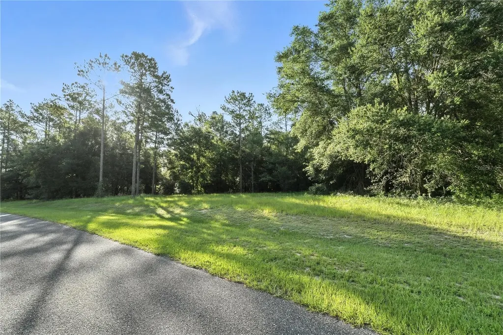 24148 Deep Springs Loop Eustis FL 32736