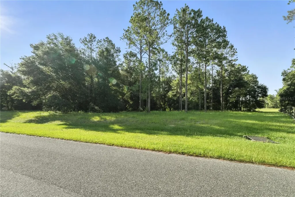 24148 Deep Springs Loop Eustis FL 32736