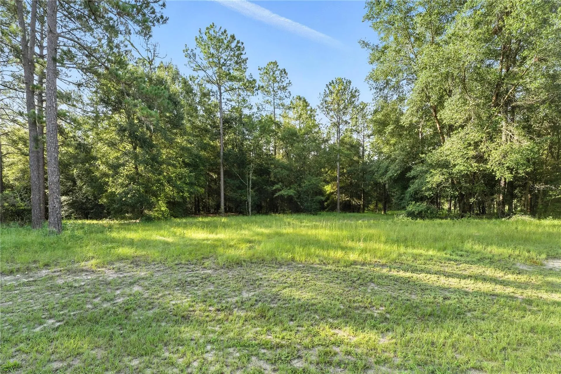 24148 Deep Springs Loop Eustis FL 32736
