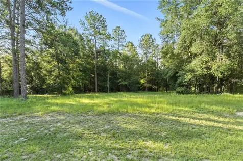 24148 Deep Springs Loop Eustis FL 32736