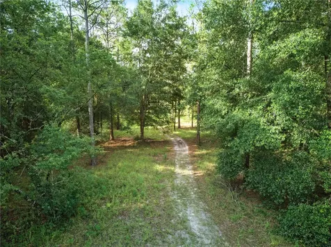 24148 Deep Springs Loop Eustis FL 32736