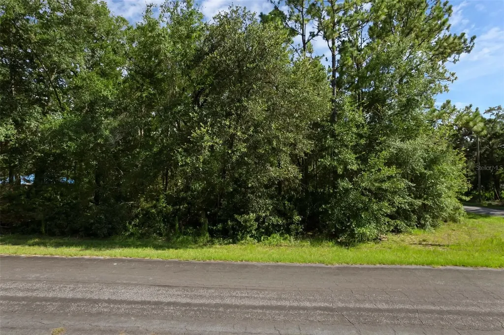 6745 N Nantucket Way Dunnellon FL 34434