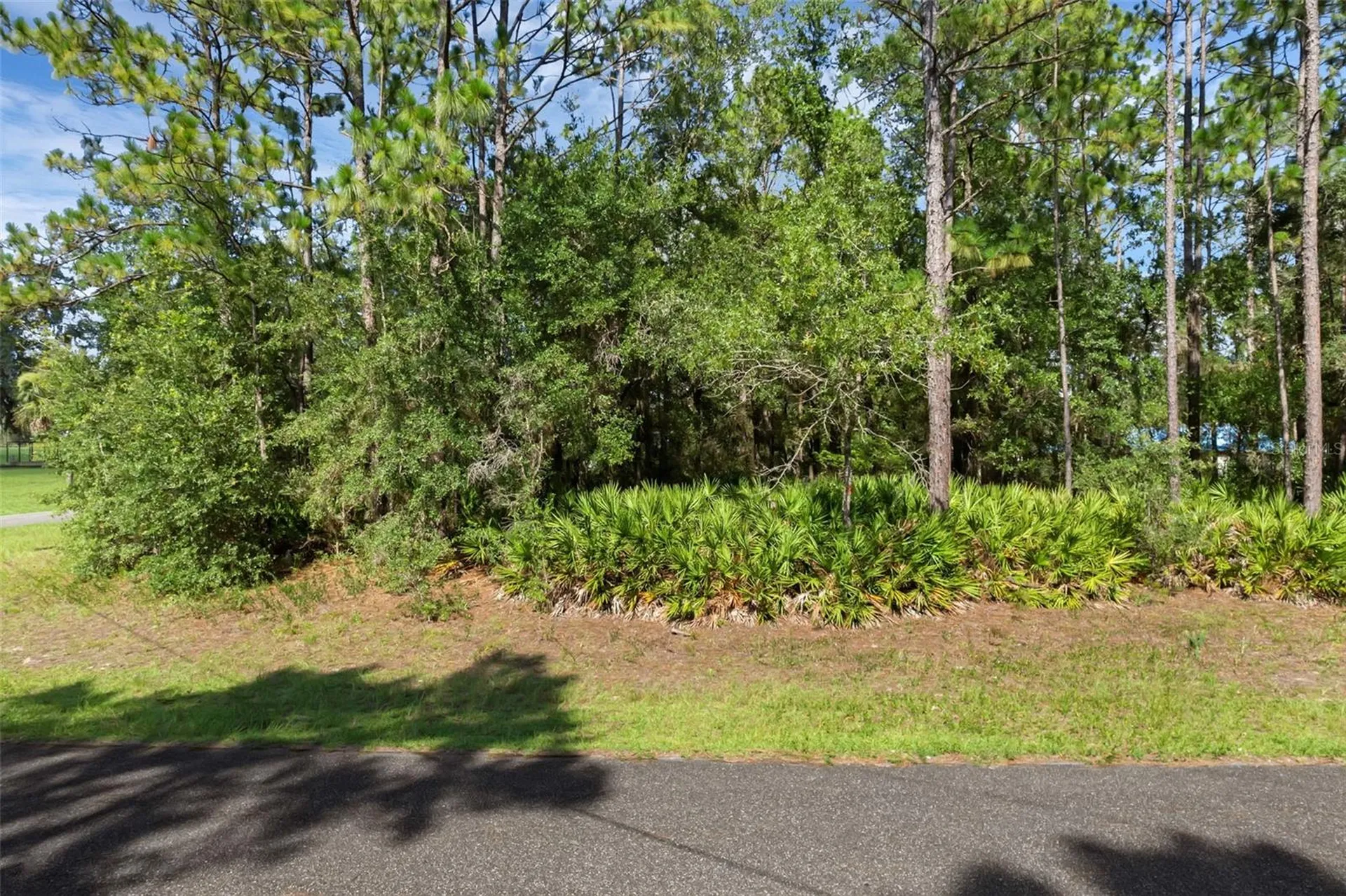 6745 N Nantucket Way Dunnellon FL 34434