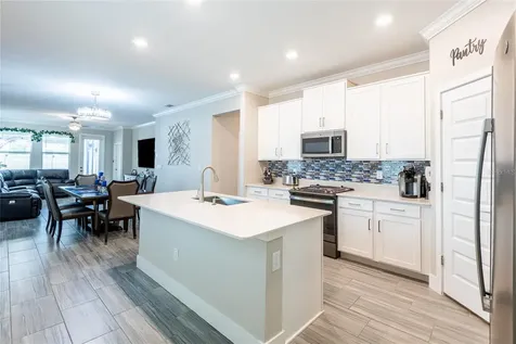 9790 Coneflower Court Land O Lakes FL 34637