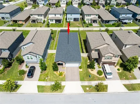 9790 Coneflower Court Land O Lakes FL 34637