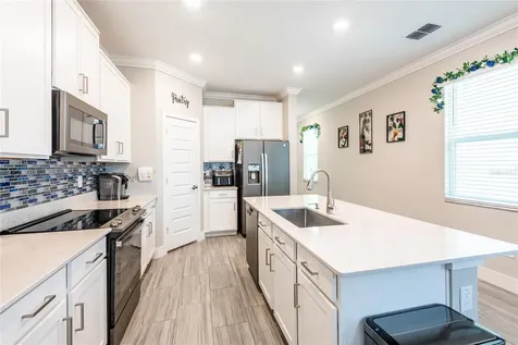 9790 Coneflower Court Land O Lakes FL 34637