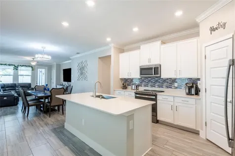 9790 Coneflower Court Land O Lakes FL 34637