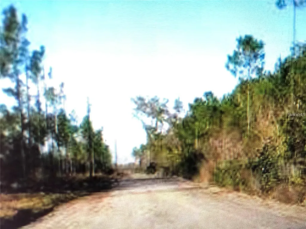 35 Acres Madison Main Line Perry FL 32347