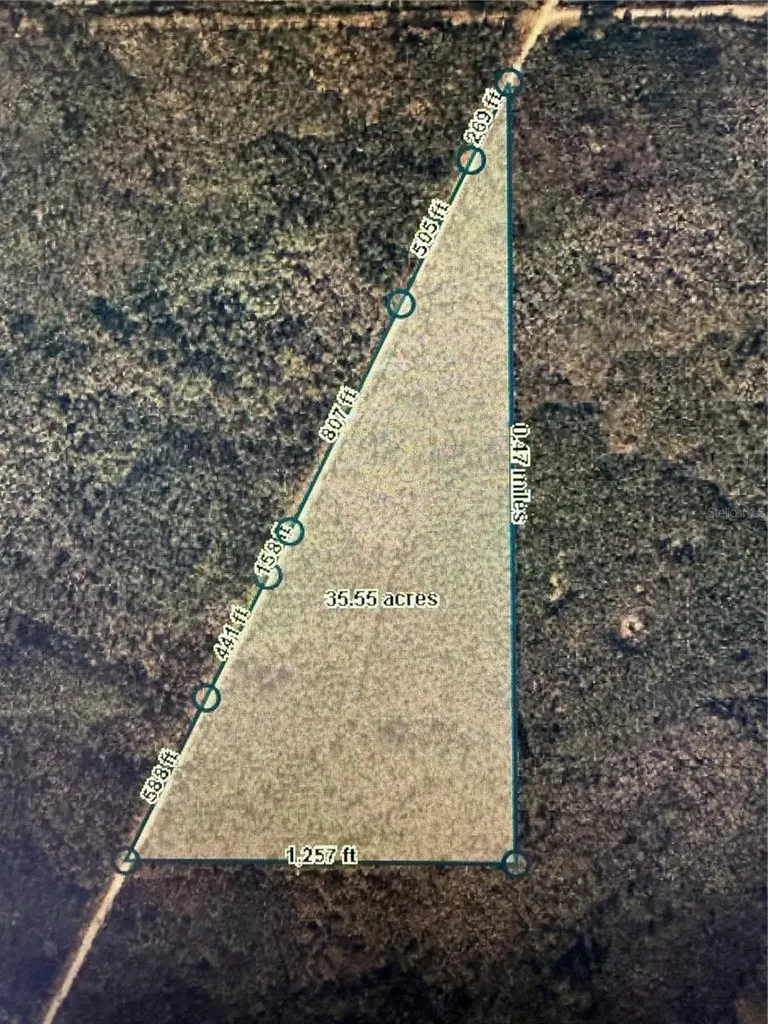 35 Acres Madison Main Line Perry FL 32347