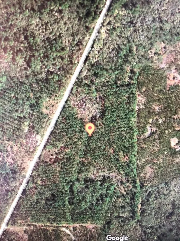 35 Acres Madison Main Line Perry FL 32347