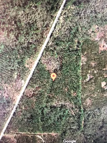 35 Acres Madison Main Line Perry FL 32347