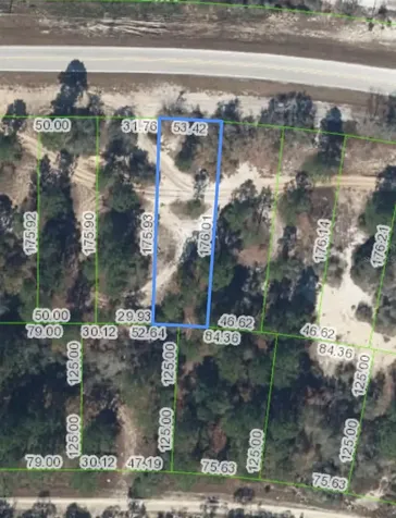 731 County Road 29 Lake Placid FL 33852