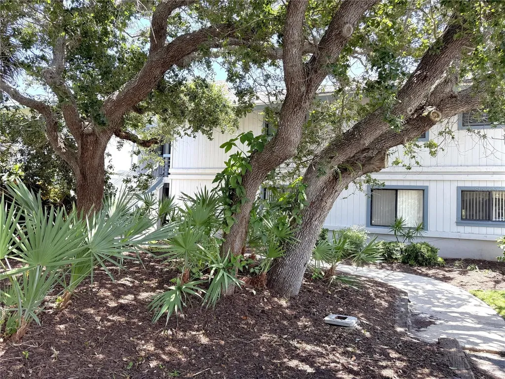 4405 Sea Mist Drive New Smyrna Beach FL 32169