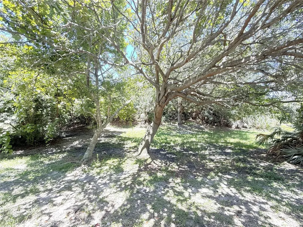 4405 Sea Mist Drive New Smyrna Beach FL 32169